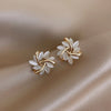 Elegant Nut Earrings in Gold and Silver